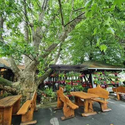 restoran-platani-01