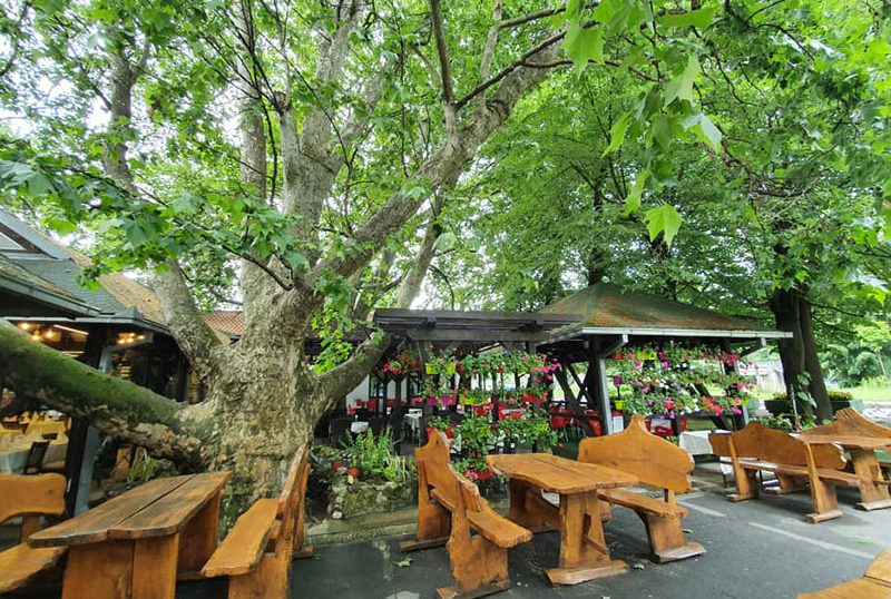 restoran-platani-01